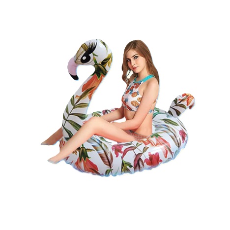 פלמינגו רכיבה